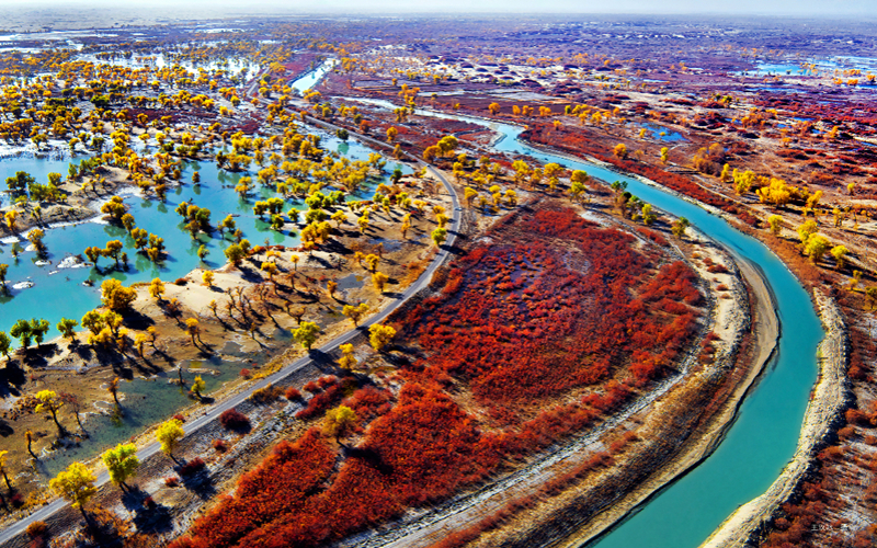 走呀！“5．19”中国旅游日新疆分会场还可以这么玩！