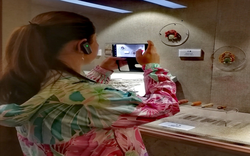 新疆举办378项“博物馆日”活动，你参与了吗？