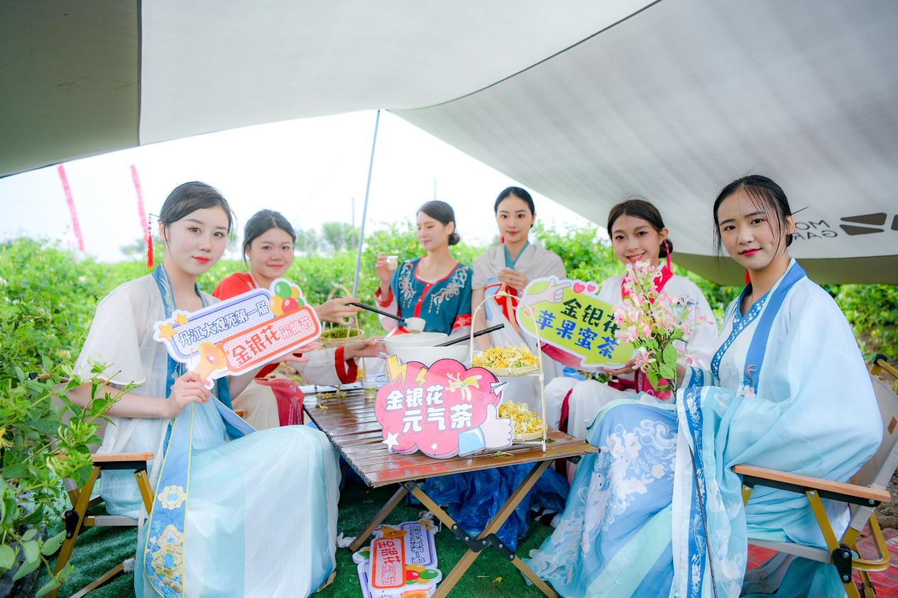 河南丹江大觀苑：摘金銀花打太極拳 開啟養生旅遊盛宴