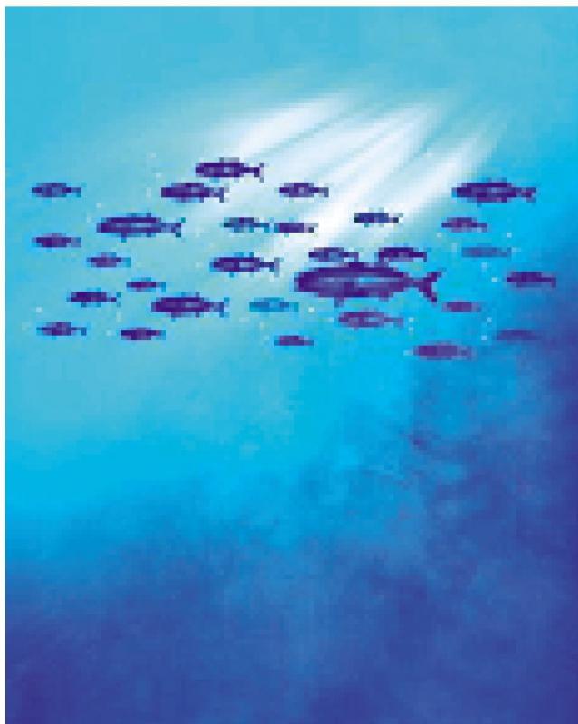 缤FUN英语/读笑话学英语