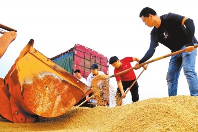 河南发布十大举措保障夏粮抢收
