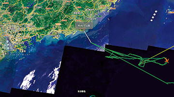 南部战区促美约束海空一线兵力行动