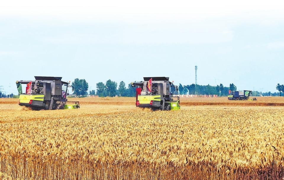 力保麦收有序进行