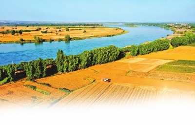 历时13天 河南麦收基本结束