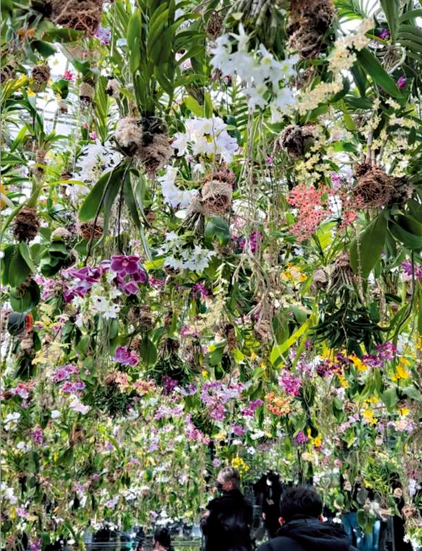 读经典˙学名句/花花世界