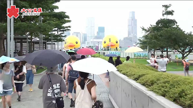 大黄鸭时隔10年再游维港 市民点睇?