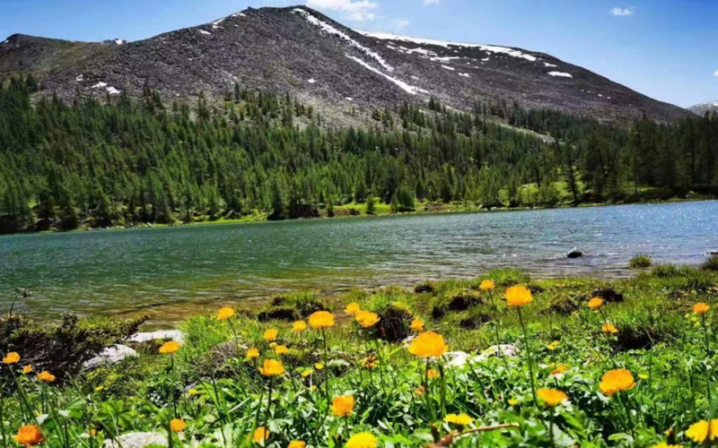 2023新疆旅游发展大会丨新疆刚获授牌这三地，特别适合避暑和康养游