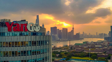 连续20个交易日收盘价低于1元，阳光城被终止上市