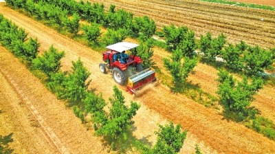 河南夏季大宗作物播种基本结束