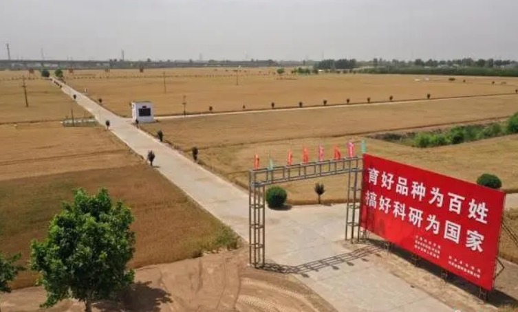 《中原农谷发展规划(2022—2035年)》印发