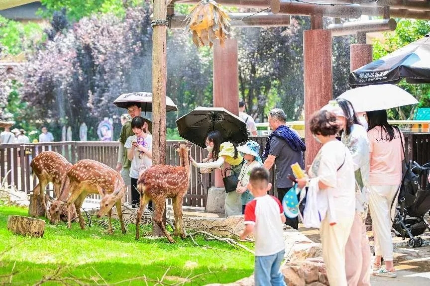 銀基國際旅遊度假區開啟夜場 為遊客帶來夏季狂歡