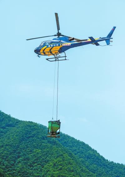 《河南省科学绿化试点示范省建设实施方案》印发