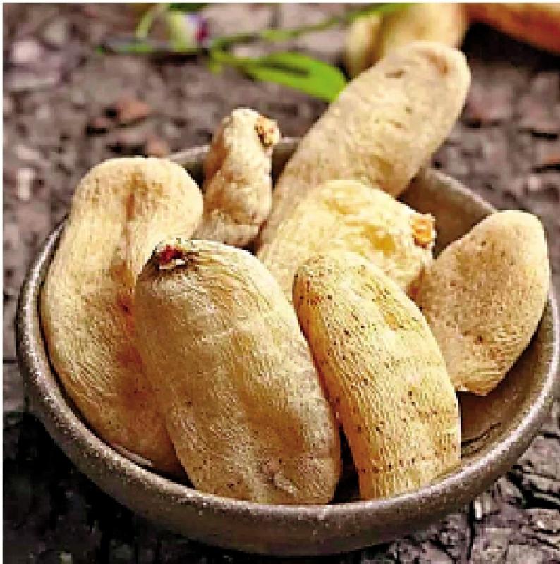 ﻿明医手记/天麻：平肝息风 通络止痛\严丽明