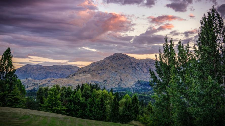 最新規定:這些東西一定不能帶進新西蘭