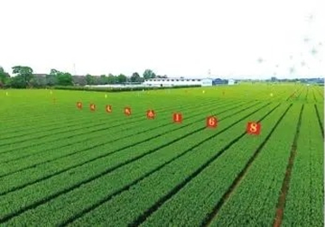 河南境内外上市公司达160家