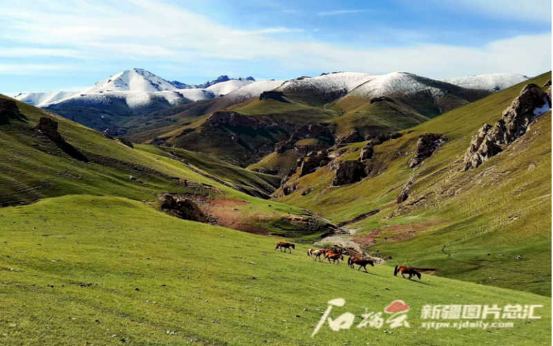 今年首个！阿合奇县获评“避暑旅游目的地”称号