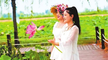 “荷花”带火美丽经济