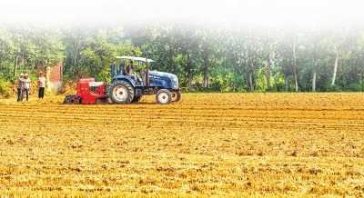 河南全力为夏粮收购保驾护航