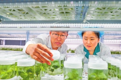 豫科技特派员工作经验获国家推广 “特派”科技振兴乡村产业