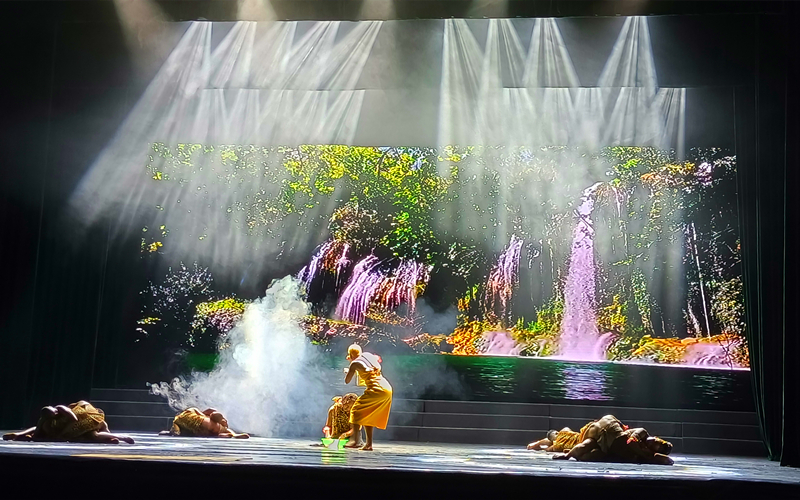 穿越万里的情谊——南非埃尔维斯舞蹈艺术团用舞剧《乌班图之魂》致敬中非友谊