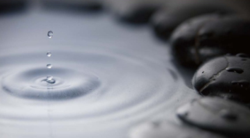 水井坊迎近五年最差中报，外籍总经理艾恩华“水土不服”？