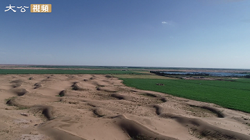 从一棵有机草到一杯有机奶需要多少流程？