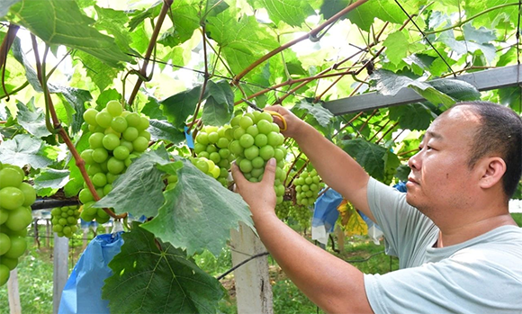 2023中牟非遗暑期公益培训班圆满结业