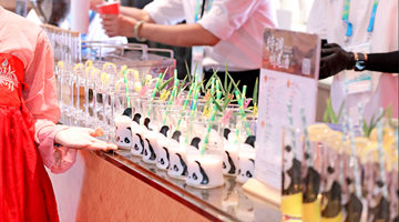 相约蓉城 酒香四溢：五粮液向世界演绎川酒精彩篇章