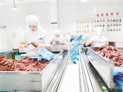 看漯河如何抢滩宠物经济“新蓝海”