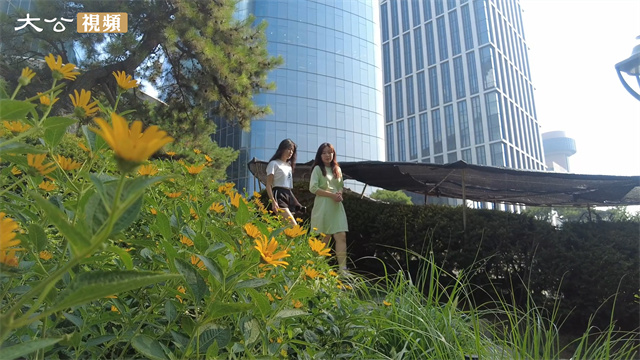 后生仔北京打工记（下）