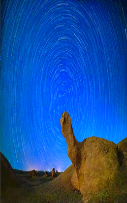 大海道里的“显眼包”，你Pick谁？