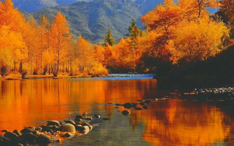 多彩之秋，共品可可托海的秋水长天