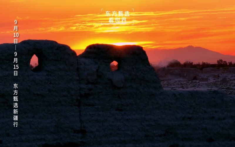 和东方甄选一起感受新疆的人文风光！