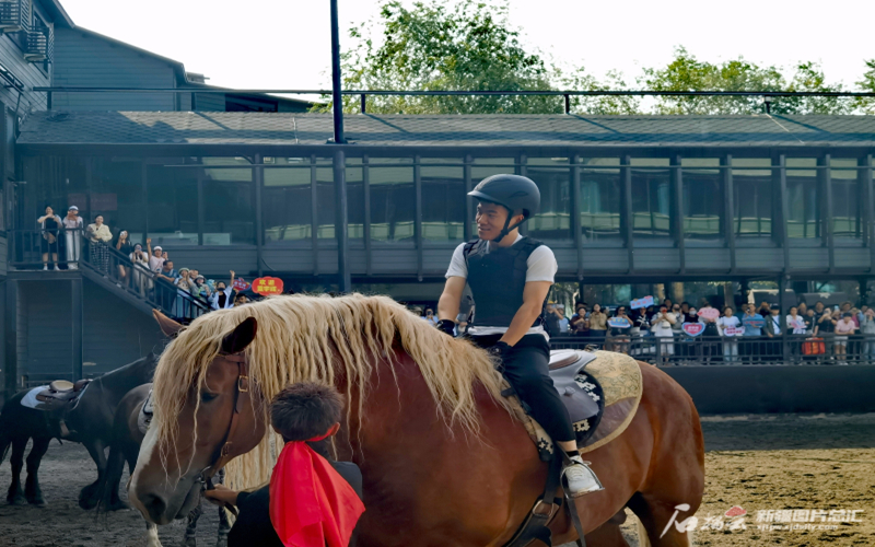 没想到，董宇辉骑汗血宝马的技术相当不错