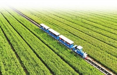 露华秋浓 话丰收