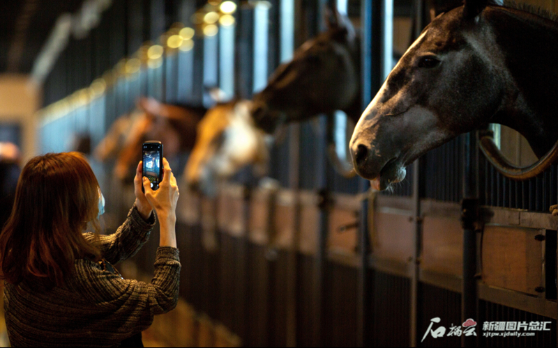 直播间里董宇辉策马奔腾的地方在哪儿？