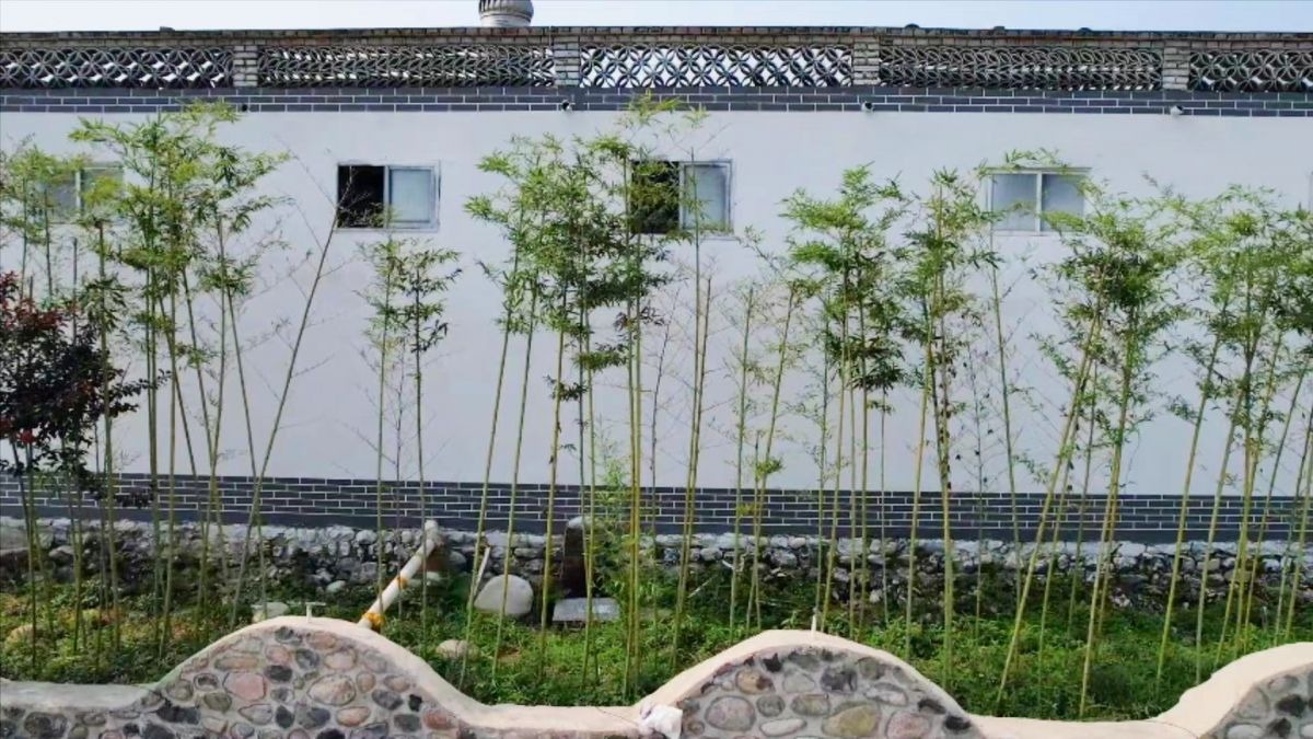 卫辉市 描绘乡村美景