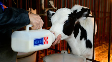 “三年倍增”战略目标被替换，新乳业大举并购隐忧显现？