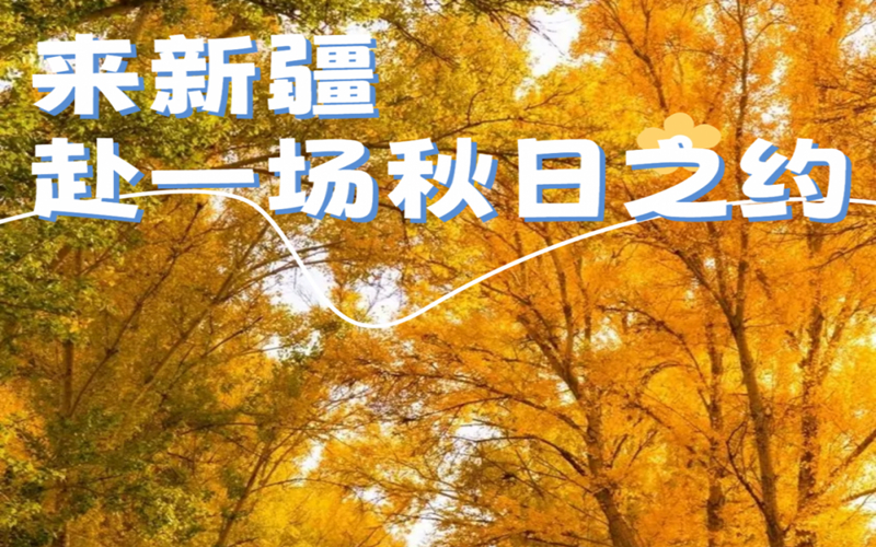 不如，来一场秋日“多巴胺”之旅！