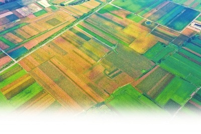 豫公布“三秋”农机作业便民服务措施 做好跨区作业机车保通保畅