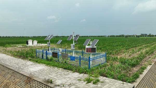 数“智”话丰收| 河南移动打造农业大数据中心 培育5G智慧农业超级沃土