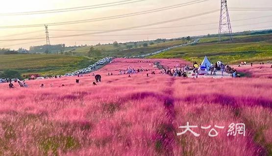 「雙節」假期合肥蜀山文旅市場勢頭強勁