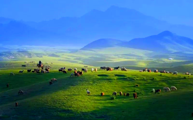 巴音布鲁克景区暂停营业、喀什古城部分道路封闭……这些信息，出游必看！