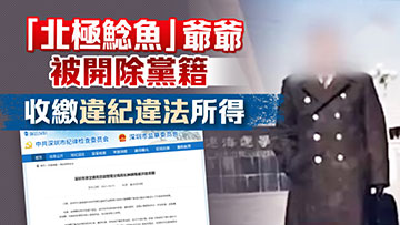 “北极鲇鱼”爷爷被开除党籍 收缴违纪违法所得
