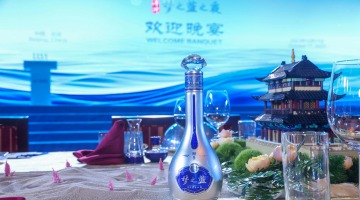 共建“一带一路”行稳致远   洋河“香飘世界”百年梦正式启航