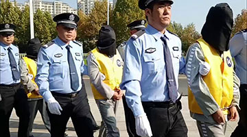 公安部：已缉捕电信网络诈骗集团重大头目和骨干387名