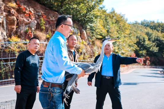 銀基動物王國：累計千馀只被救助野生動物放歸自然