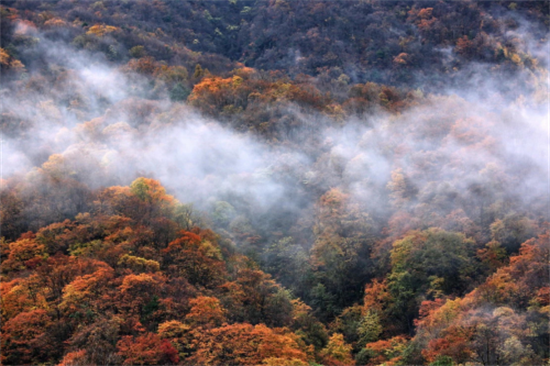 G219暨西藏旅遊名縣推廣活動走進善妙芒康