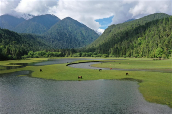 G219暨西藏旅遊名縣推廣活動啟動 助推波密旅遊提質升級