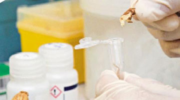 生产商与大学合作做药理研究